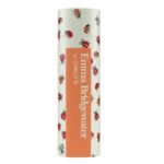 chillys-e-b-ladybirds-%ce%bc%cf%80%ce%bf%cf%85%ce%ba%ce%ac%ce%bb%ce%b9-%ce%b8%ce%b5%cf%81%ce%bc%cf%8c%cf%82-500ml-mamaspharmacy-2