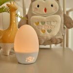 tommee-tippee-gro-egg2-%ce%b8%ce%b5%cf%81%ce%bc%cf%8c%ce%bc%ce%b5%cf%84%cf%81%ce%bf-%ce%b4%cf%89%ce%bc%ce%b1%cf%84%ce%af%ce%bf%cf%85-%ce%bc%ce%b5-%cf%86%cf%89%cf%84%ce%ac%ce%ba%ce%b9-%ce%bd%cf%85