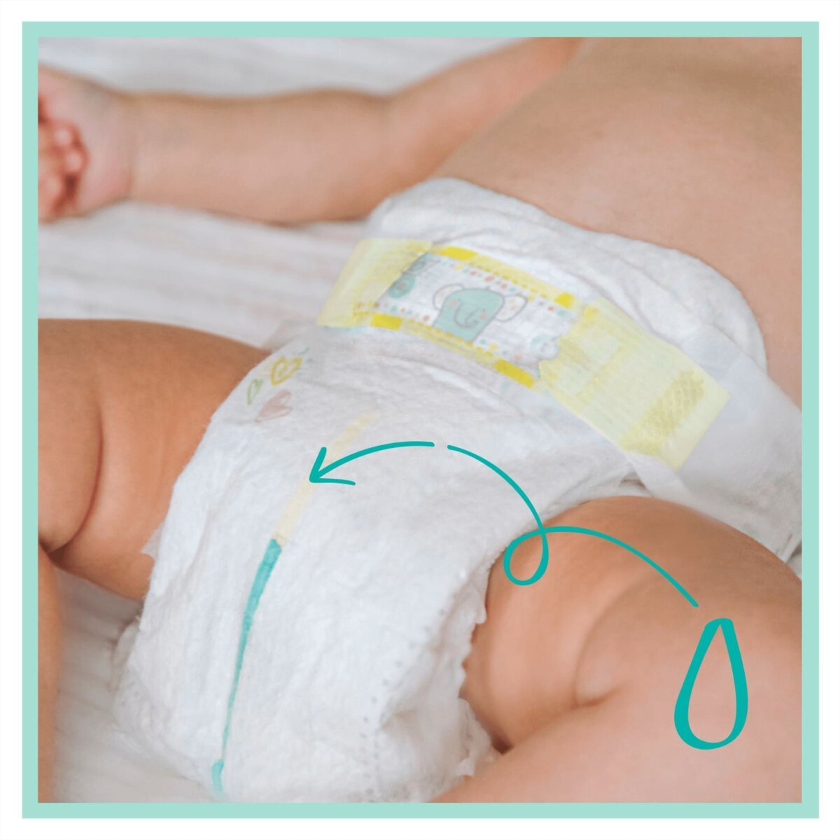 pampers-%cf%80%ce%ac%ce%bd%ce%b5%cf%82-premium-care-%ce%bcamaspharmacy-7