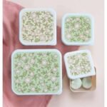 a-little-lovely-company-lunch-snack-box-set-%ce%b4%ce%bf%cf%87%ce%b5%ce%af%cf%89%ce%bd-%cf%86%ce%b1%ce%b3%ce%b7%cf%84%ce%bf%cf%8d-blossoms-sage-4