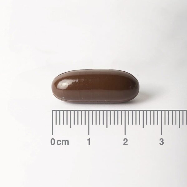 lamberts-flax-seed-oil-1000mg-90caps-1
