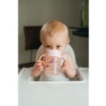 cheers360-handle-sippy-cup
