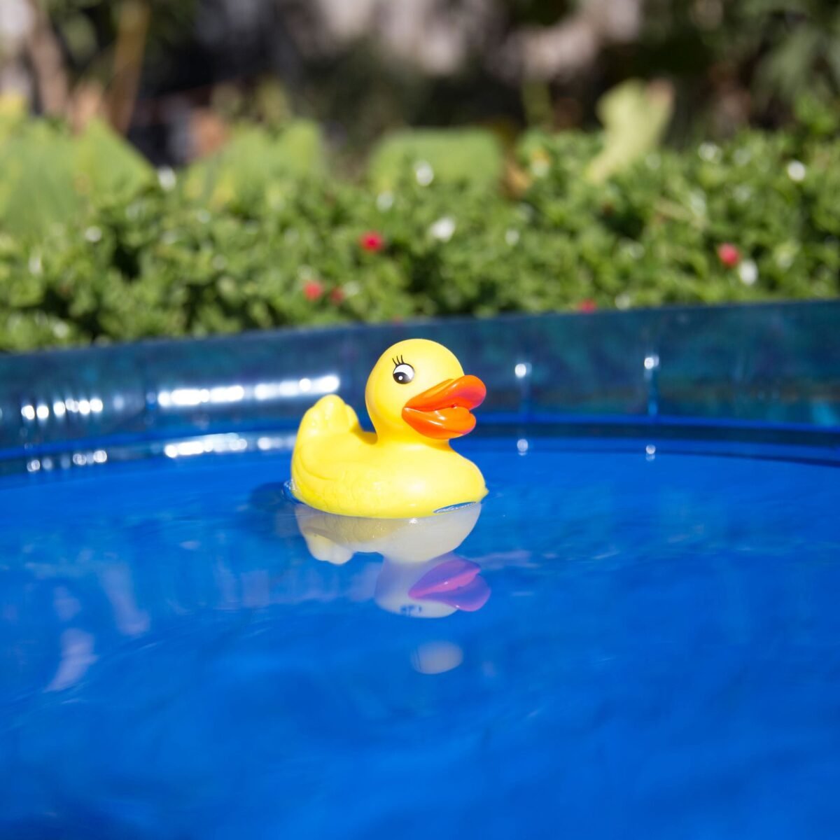 playgro-bath-duckie-%cf%80%ce%b1%cf%80%ce%ac%ce%ba%ce%b9-%ce%bc%cf%80%ce%ac%ce%bd%ce%b9%ce%bf%cf%85-6m-mamaspharmacy-6