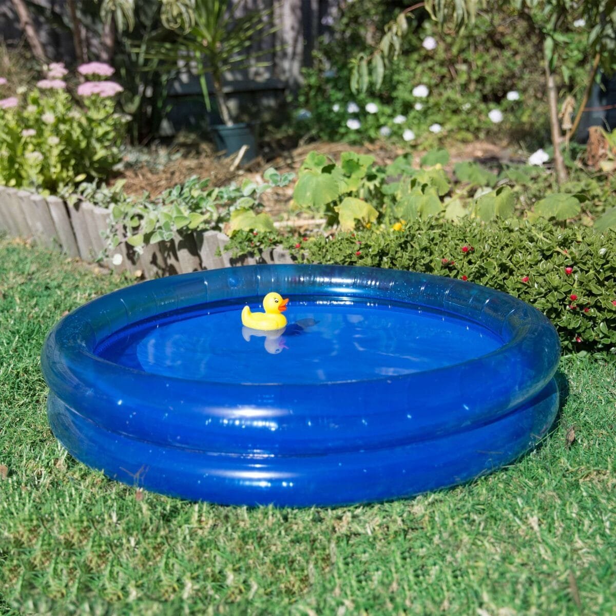 playgro-bath-duckie-%cf%80%ce%b1%cf%80%ce%ac%ce%ba%ce%b9-%ce%bc%cf%80%ce%ac%ce%bd%ce%b9%ce%bf%cf%85-6m-mamaspharmacy-7