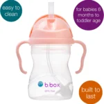 b-box-%ce%b5%ce%ba%cf%80%ce%b1%ce%b9%ce%b4%ce%b5%cf%85%cf%84%ce%b9%ce%ba%cf%8c-%cf%80%ce%bf%cf%84%ce%b7%cf%81%ce%ac%ce%ba%ce%b9-%ce%bc%ce%b5-%ce%ba%ce%b1%ce%bb%ce%b1%ce%bc%ce%ac%ce%ba%ce%b9-6m-sipp