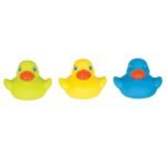 playgro-bright-baby-duckies-%cf%80%ce%bf%ce%bb%cf%8d%cf%87%cf%81%cf%89%ce%bc%ce%b1-%cf%80%ce%b1%cf%80%ce%ac%ce%ba%ce%b9%ce%b1-%ce%bc%cf%80%ce%ac%ce%bd%ce%b9%ce%bf%cf%85-6m-3%cf%84%ce%bc%cf%87-mam